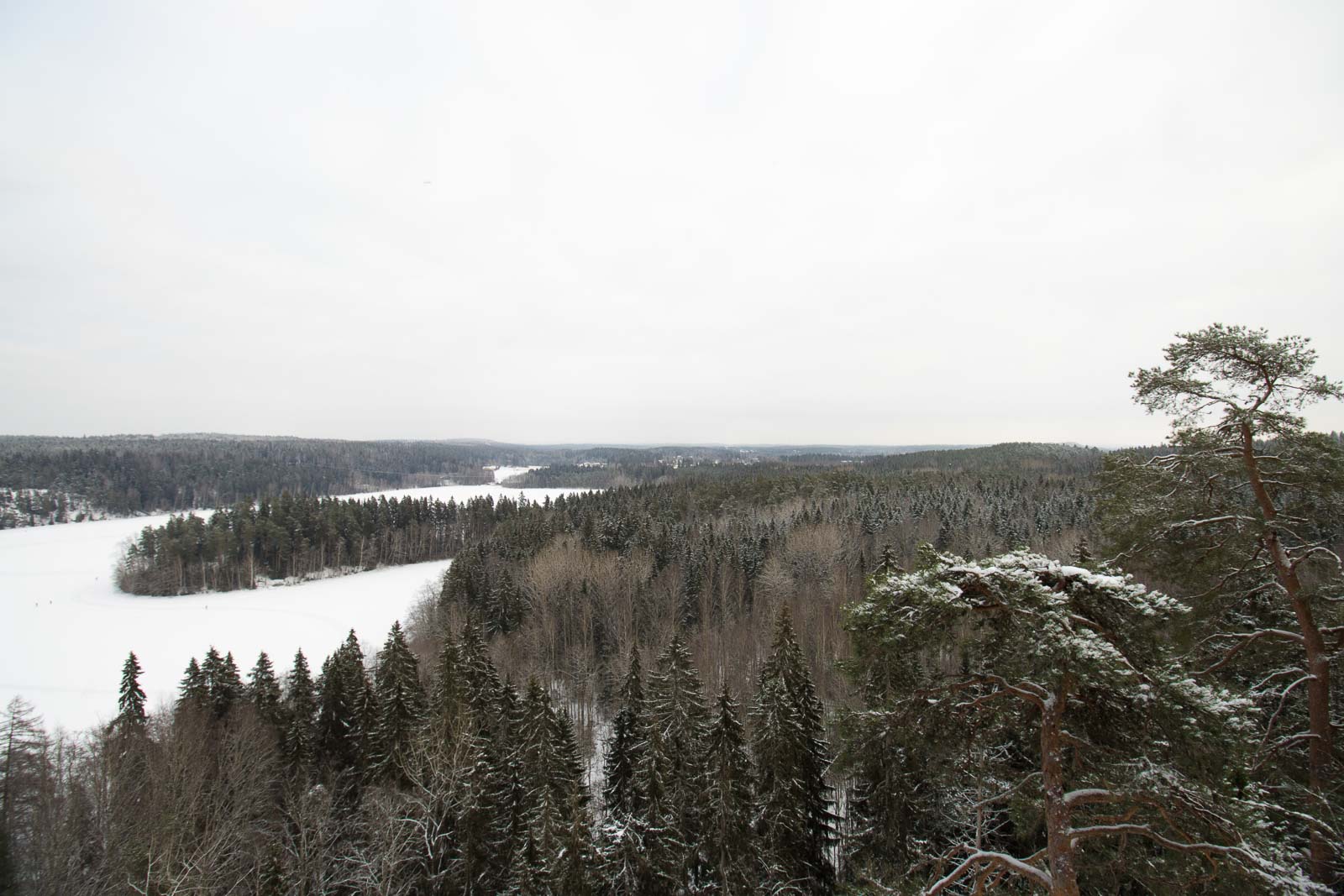 View from the Aulankovuori to the Lake Aulanko